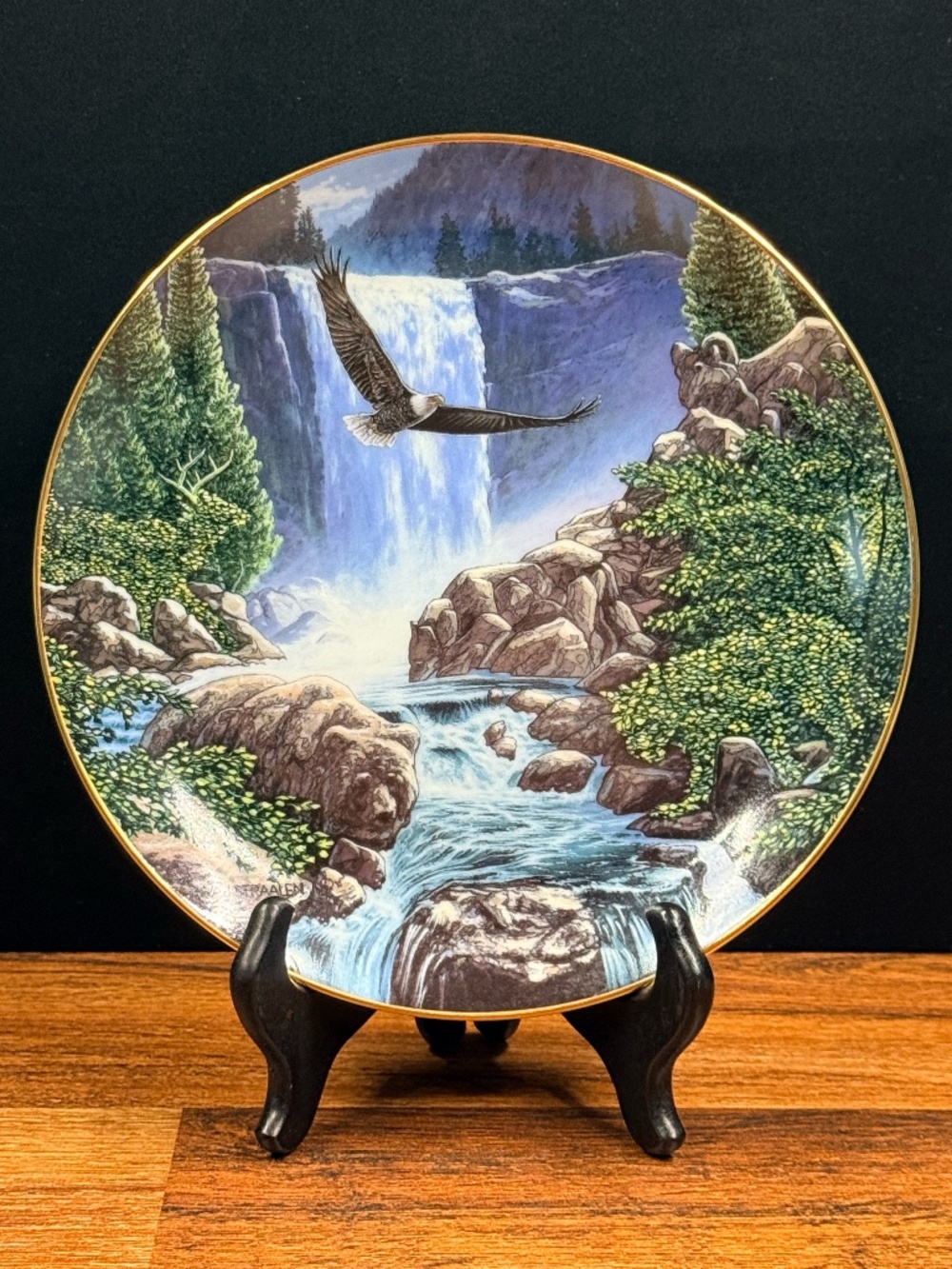 THE DANBURY MINT Sanctuary Falls by John Van Straalen Collector Plate #F6213